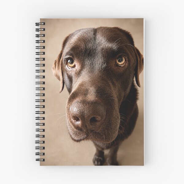 Item preview, Vince – The Gentle Beggar designed and sold by alexanderVision.