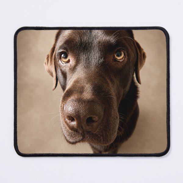 Item preview, Vince – The Gentle Beggar designed and sold by alexanderVision.