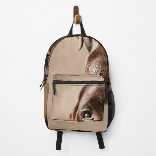 Item preview, Vince – The Gentle Beggar designed and sold by alexanderVision.