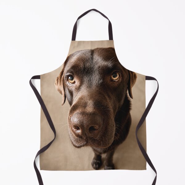 Item preview, Vince – The Gentle Beggar designed and sold by alexanderVision.