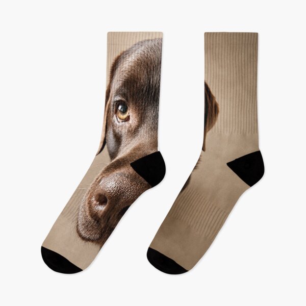 Item preview, Vince – The Gentle Beggar designed and sold by alexanderVision.