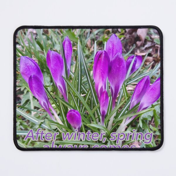 Item preview, Crocus - harbinger of spring designed and sold by Elektra9.