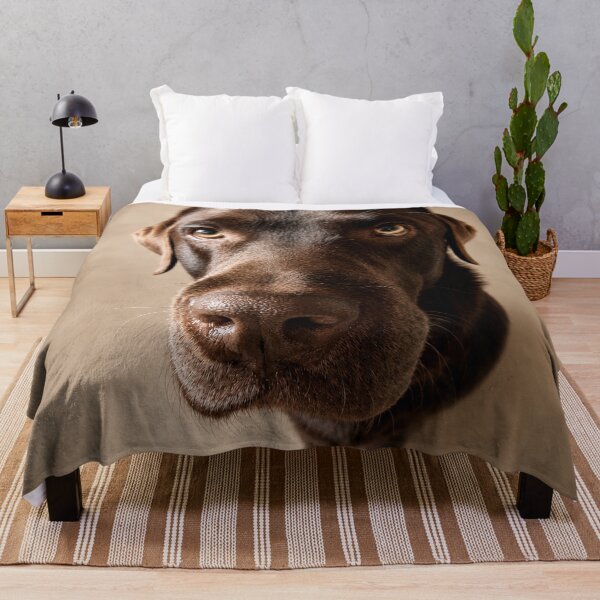 Item preview, Vince – The Gentle Beggar designed and sold by alexanderVision.