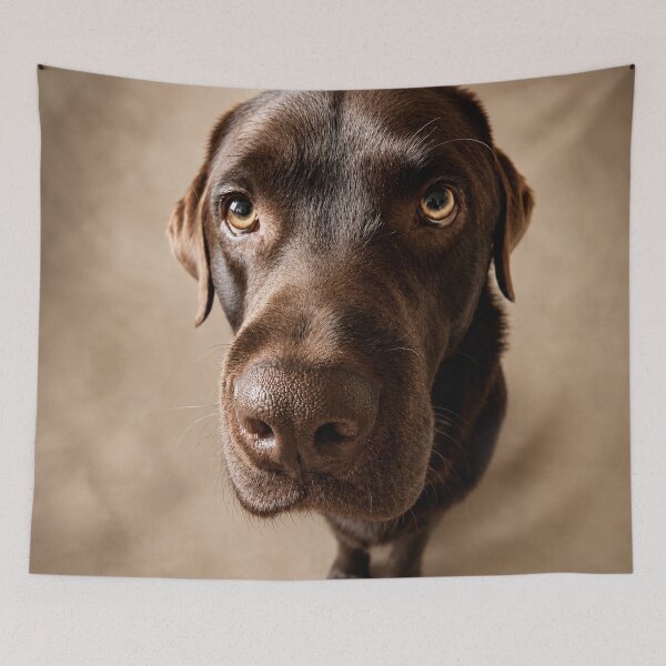 Item preview, Vince – The Gentle Beggar designed and sold by alexanderVision.