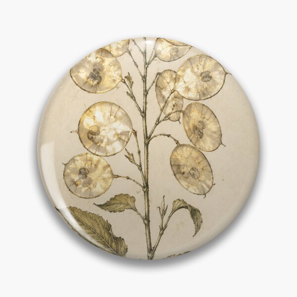 Item preview, Moonlit Honesty Lunaria Seedpod Print — Luminous Vintage Dried-Flower Botanical Art designed and sold by Brackenlume Studio.