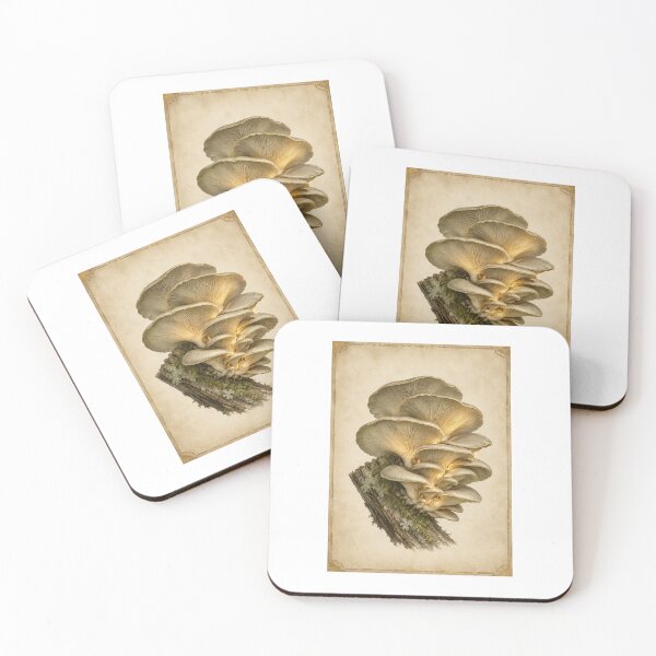 Item preview, Oyster Mushroom Cluster Print | Vintage Botanical Fungi Wall Art | Gourmet Forager Gift designed and sold by Brackenlume Studio.