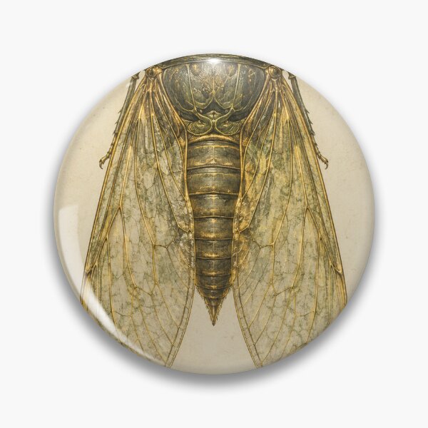 Item preview, Cicada Specimen Print | Vintage Entomology Wall Art | Summer Naturalist Gift designed and sold by Brackenlume Studio.