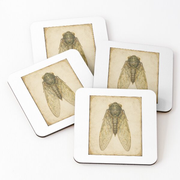 Item preview, Cicada Specimen Print | Vintage Entomology Wall Art | Summer Naturalist Gift designed and sold by Brackenlume Studio.