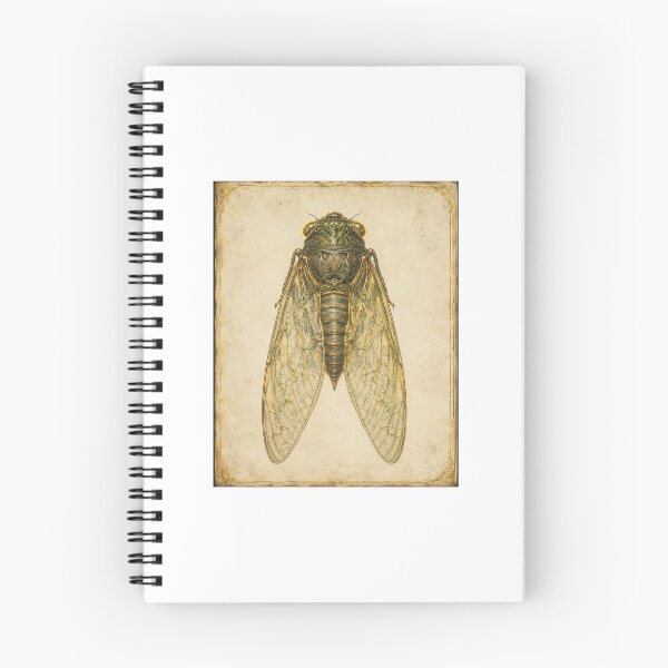 Item preview, Cicada Specimen Print | Vintage Entomology Wall Art | Summer Naturalist Gift designed and sold by Brackenlume Studio.