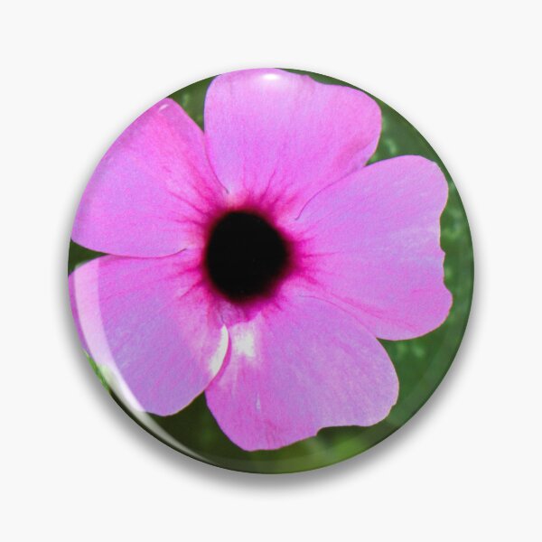Item preview, Thunbergia alata 'Rose Sensation' photograph designed and sold by Natimo-Studio.