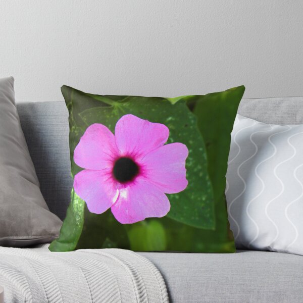 Item preview, Thunbergia alata 'Rose Sensation' photograph designed and sold by Natimo-Studio.