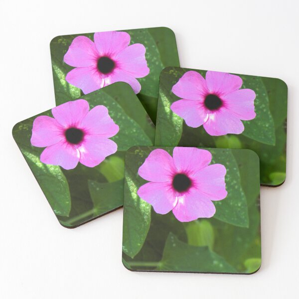 Item preview, Thunbergia alata 'Rose Sensation' photograph designed and sold by Natimo-Studio.