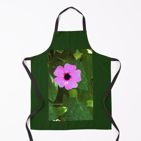 Item preview, Thunbergia alata 'Rose Sensation' photograph designed and sold by Natimo-Studio.