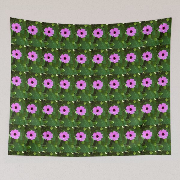 Item preview, Thunbergia alata 'Rose Sensation' photograph designed and sold by Natimo-Studio.
