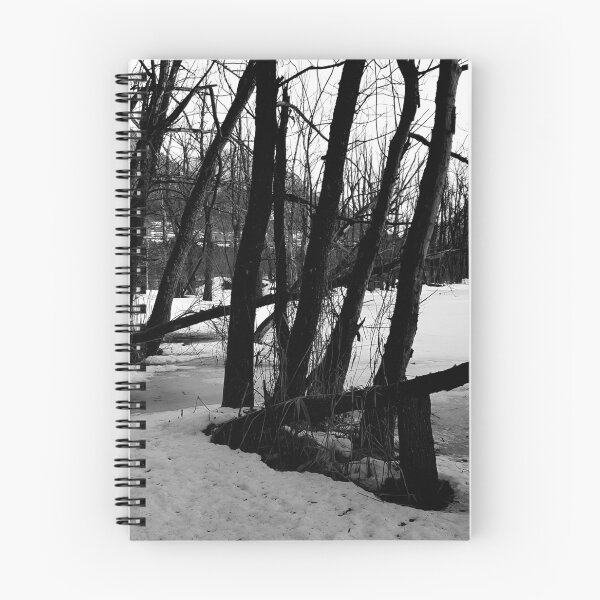 Item preview, Winter mood designed and sold by sinanocte.