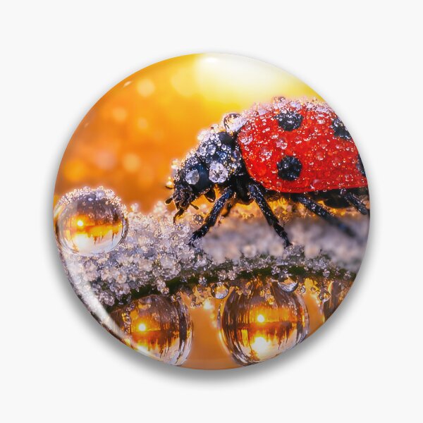 Item preview, Ladybug with morning dew in a golden sunset designed and sold by Fotografin1981.