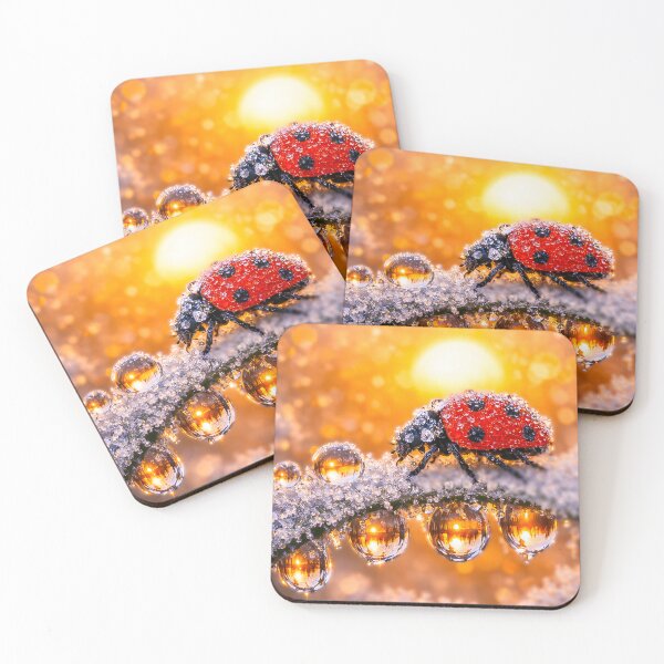 Item preview, Ladybug with morning dew in a golden sunset designed and sold by Fotografin1981.