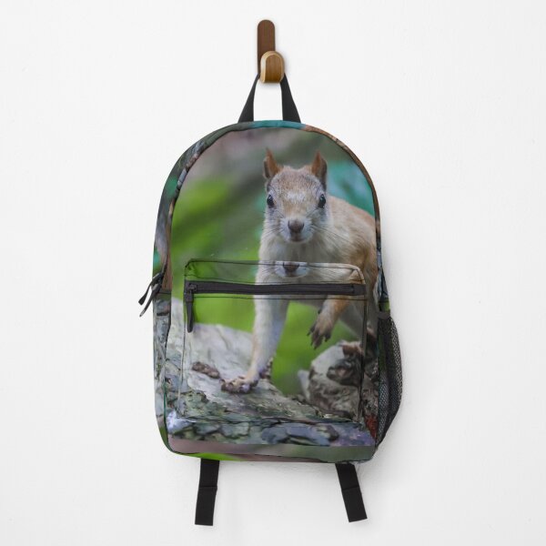 Item preview, Curious squirrel designed and sold by NorthWild.