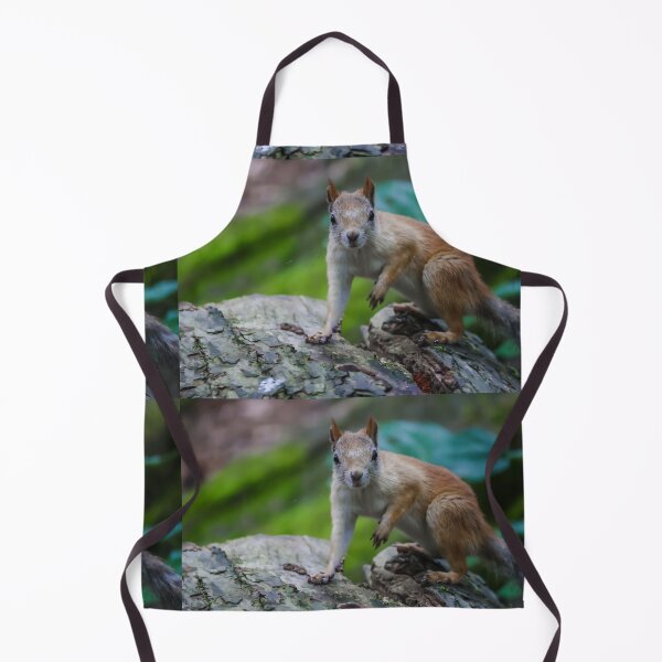 Item preview, Curious squirrel designed and sold by NorthWild.