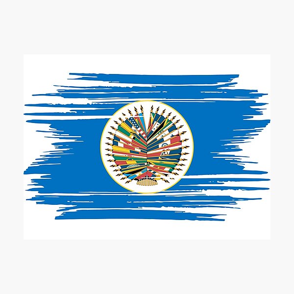 Item preview, Distressed Organization Of American States Flag designed and sold by shitpostee.