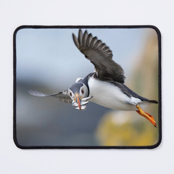 Item preview, Atlantic Puffin Flying Home With a Beak Full of Fish designed and sold by Timbernature.
