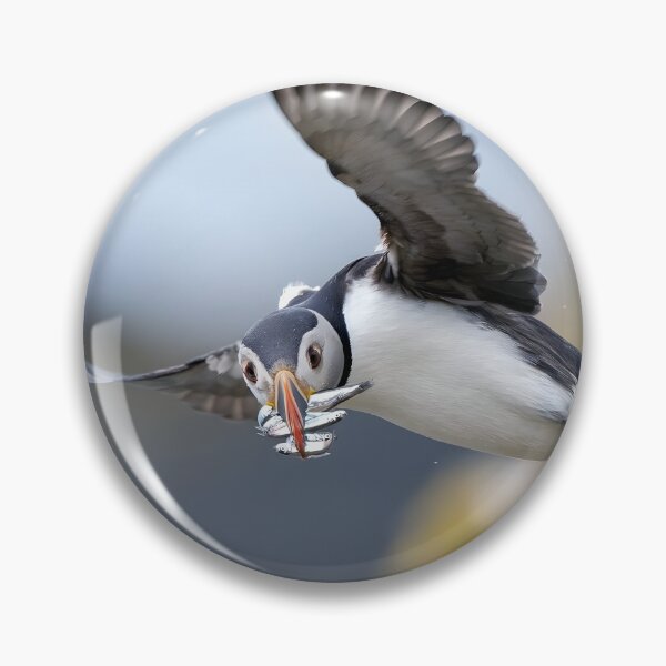 Item preview, Atlantic Puffin Flying Home With a Beak Full of Fish designed and sold by Timbernature.