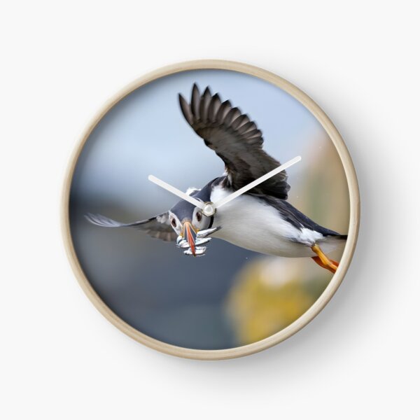 Item preview, Atlantic Puffin Flying Home With a Beak Full of Fish designed and sold by Timbernature.