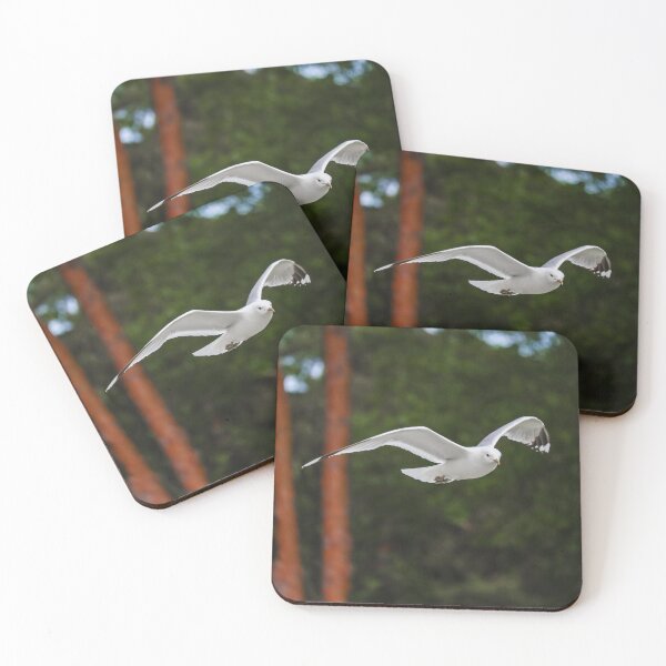 Item preview, Seagull in Flight designed and sold by NorthWild.