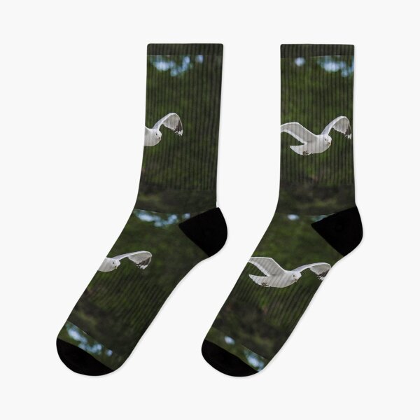 Item preview, Seagull in Flight designed and sold by NorthWild.