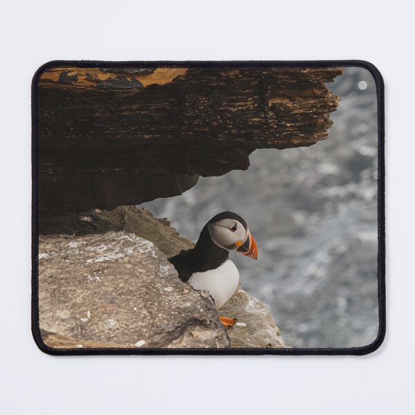 Item preview, Atlantic Puffin Peeking From a Rugged Seaside Cliff designed and sold by Timbernature.