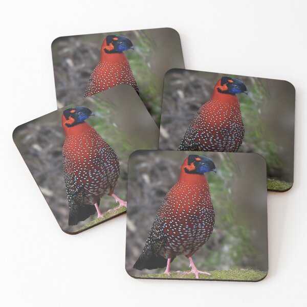 Item preview, Red Tragopan Pheasant Standing in a Mossy Forest designed and sold by Timbernature.