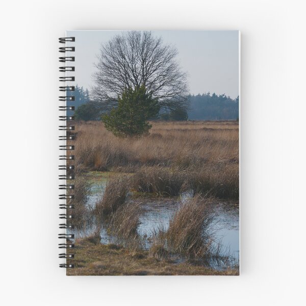 Item preview, Solitary Oak Tree in Scenic Heathland Wetland Landscape designed and sold by ShotsbyDesiree.