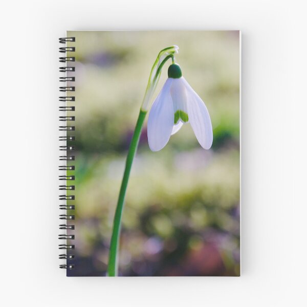 Item preview, Pure Hope – Early Spring Snowdrop designed and sold by ShotsbyDesiree.