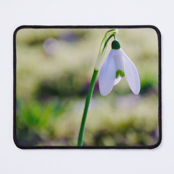 Item preview, Pure Hope – Early Spring Snowdrop designed and sold by ShotsbyDesiree.