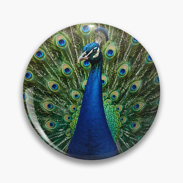 Item preview, Royal Peacock Full Feather Display Art designed and sold by hutofdesigns.