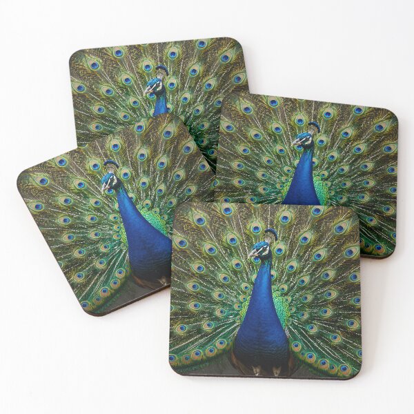 Item preview, Royal Peacock Full Feather Display Art designed and sold by hutofdesigns.