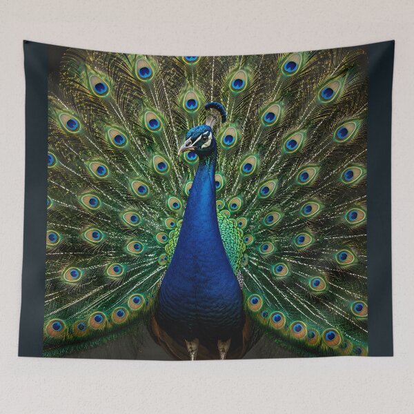 Item preview, Royal Peacock Full Feather Display Art designed and sold by hutofdesigns.