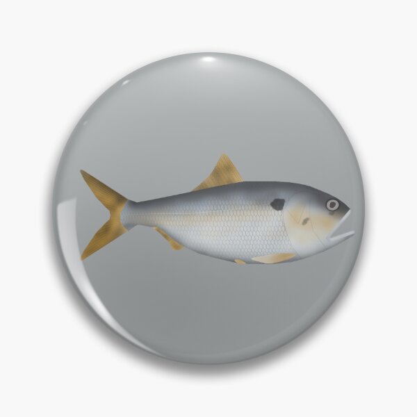 Item preview, Argentine Menhaden designed and sold by fishfolkart.