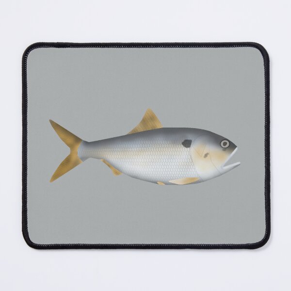 Item preview, Argentine Menhaden designed and sold by fishfolkart.