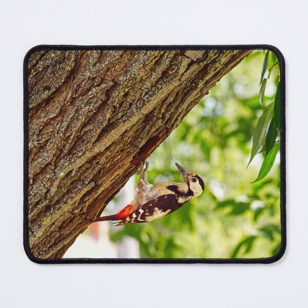 Item preview, Wild Spotted Woodpecker At The Tree Nest designed and sold by GraffiTimi.