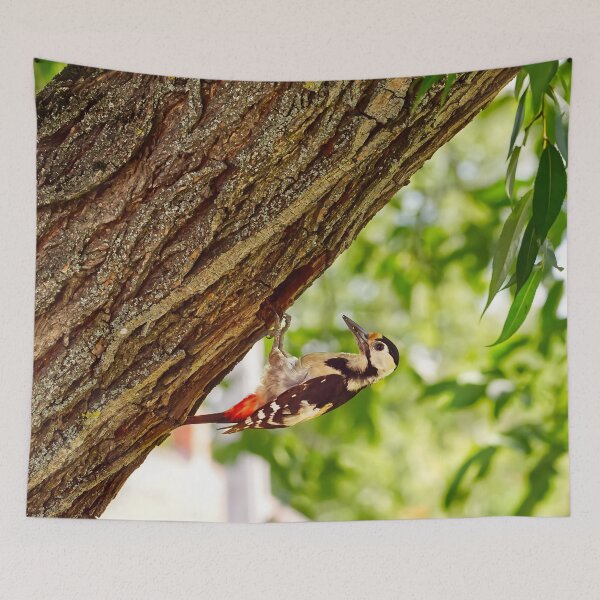 Item preview, Wild Spotted Woodpecker At The Tree Nest designed and sold by GraffiTimi.