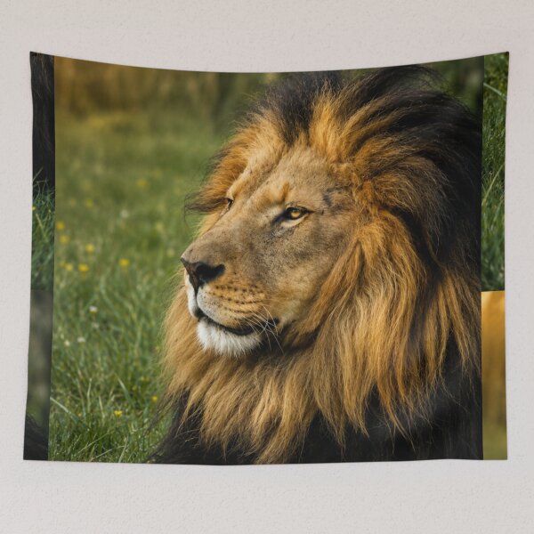 Item preview, Proud Lion designed and sold by Kimberly Palmer.