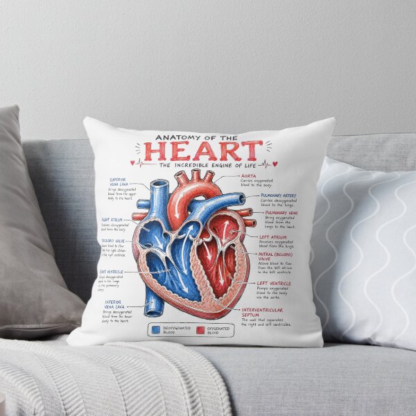 Item preview, Human Heart Anatomy Design designed and sold by Ink Matrix.