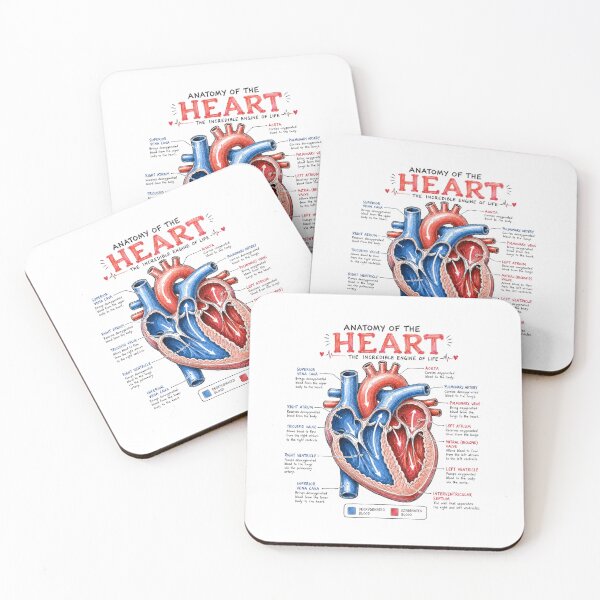 Item preview, Human Heart Anatomy Design designed and sold by Ink Matrix.
