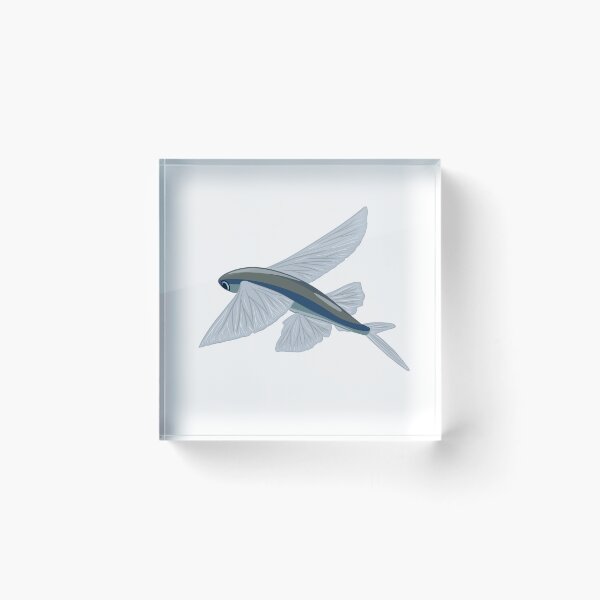 Item preview, Flying Fish designed and sold by swim-shady.