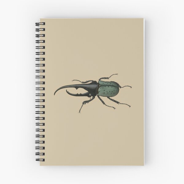 Item preview, Vintage Botanical Beetle Illustration - Antique Natural History Print Sticker designed and sold by footnotes-club.