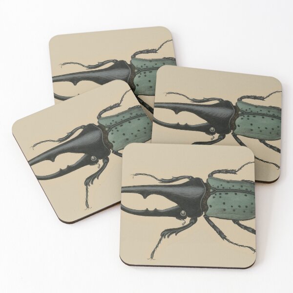 Item preview, Vintage Botanical Beetle Illustration - Antique Natural History Print Sticker designed and sold by footnotes-club.