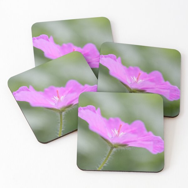 Item preview, Pretty in Pink designed and sold by heidipics.