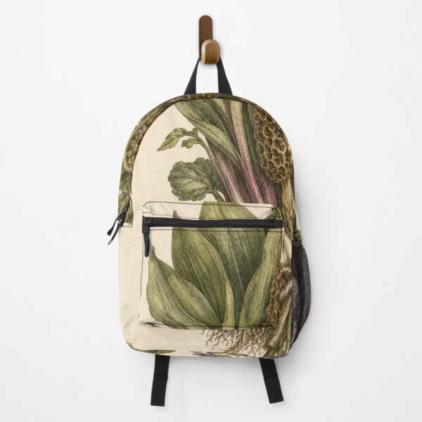 Item preview, Spring Forager's Bundle - Morel & Ramp Vintage Botanical Engraving designed and sold by ForageKitchen.