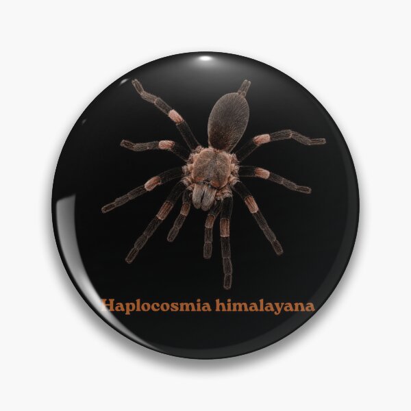 Artikelvorschau, Haplocosmia himalayana SP-011 entworfen und verkauft von Exotic-Atlas.